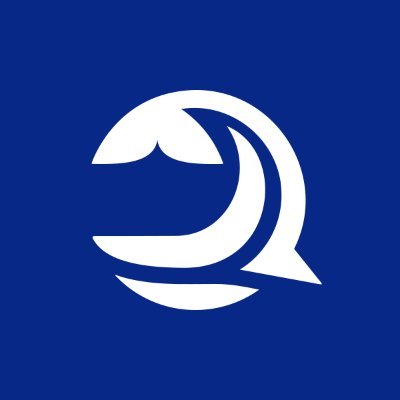 Logo for Oceanum Testnet